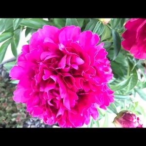 Meet your Posher, Kellie